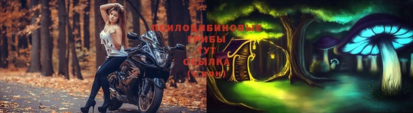 2c-b Бронницы