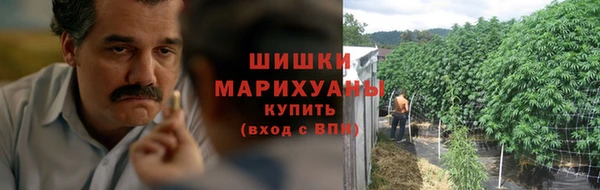 2c-b Бородино