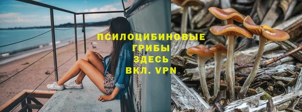2c-b Бронницы