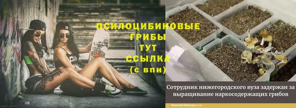 2c-b Бородино