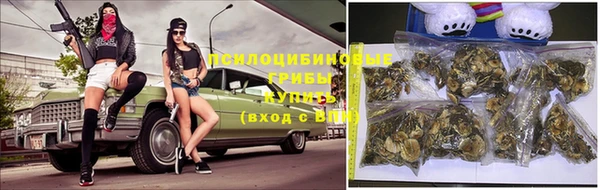 СК Бугульма