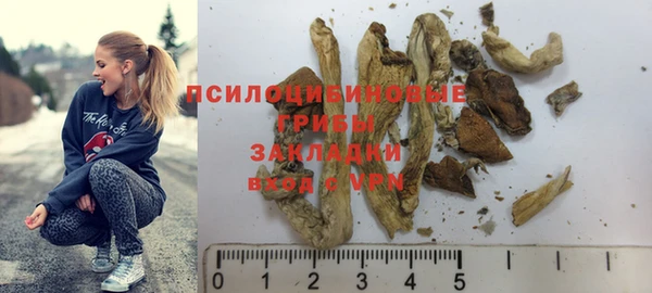 2c-b Бородино