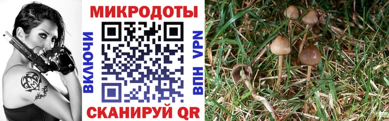 Галлюциногенные грибы ЛСД  где найти   omg зеркало  Кущёвская 